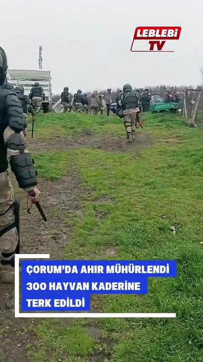 Çorum'da tapusuz arazideki ev ve hayvanların bulunduğu ahır mühürlendi