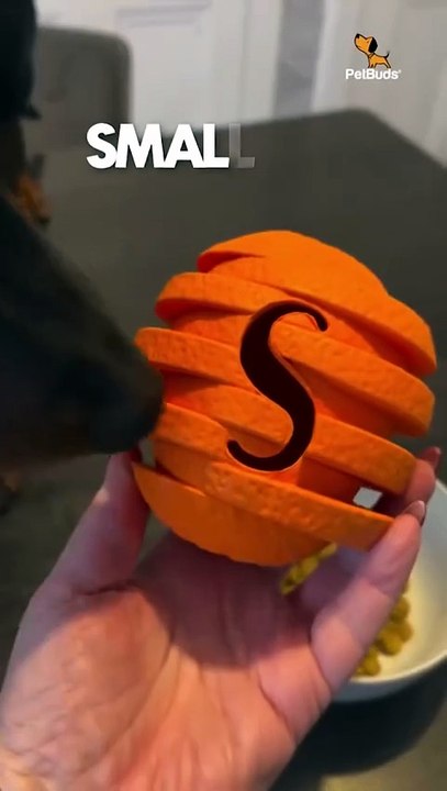 Just Got an Upgrade 😍 | Best Dog Toys for Boredom | PetBuds UK