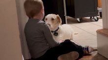 Kid Explains Street Safety Rules to a Newly Adopted Dog