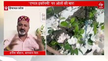 पांच हजार करोड़ की ‘एप्पल इकॉनमी’ पर ओलों की मार! चिंतित बागवानों को सरकार से मुआवजे की आस