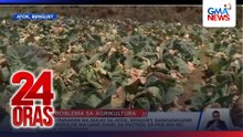 Mga pananim na gulay sa Atok, Benguet, nanganganib na mabulok na lang dahil sa pagtigil sa pag-ani ng mga magsasaka | 24 Oras
