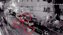 Avcılar’da kendisini kovalayan köpeklerden araçların üzerine çıkarak kaçtı