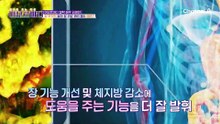 '허리둘레 5cm 감소' 체지방 감소는 물론 강인한 장 부착력으로 장 건강 관리에 도움을 주는 BNR17