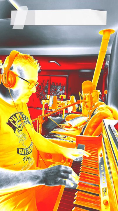 Amoureuse de Véronique sanson par Hallyno en live