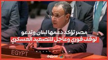 مصر تؤكد دعمها لبنان وتدعو لوقف فوري وعاجل للتصعيد العسكري