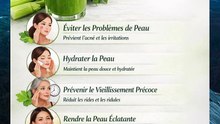 Découvrez les bienfaits du jus de céleri pour votre peau