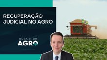 MAPA e CNJ firmam acordo para apoiar recuperação judicial no agro | HORA H DO AGRO