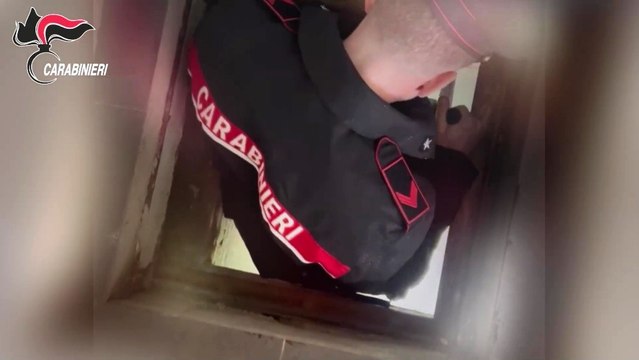 Bunker sotto il pavimento di un casolare: sequestrato arsenale, un arresto (09.04.26)