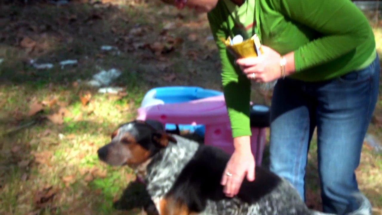 Dogs on the Inside (2014) - video Dailymotion