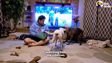 Watch This Foster Dog Learn How To Dog From Scratch