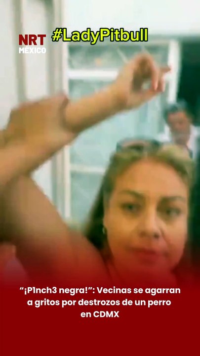 😳 Una r1ña entre vecinas en la Ciudad de México ya se volvió viral en redes sociales. En el video se escucha a una mujer, apodada por usuarios como “Lady Pitbull”, lanzando insultos contra otra vecina, mientras un perro observa la escena sin intervenir.