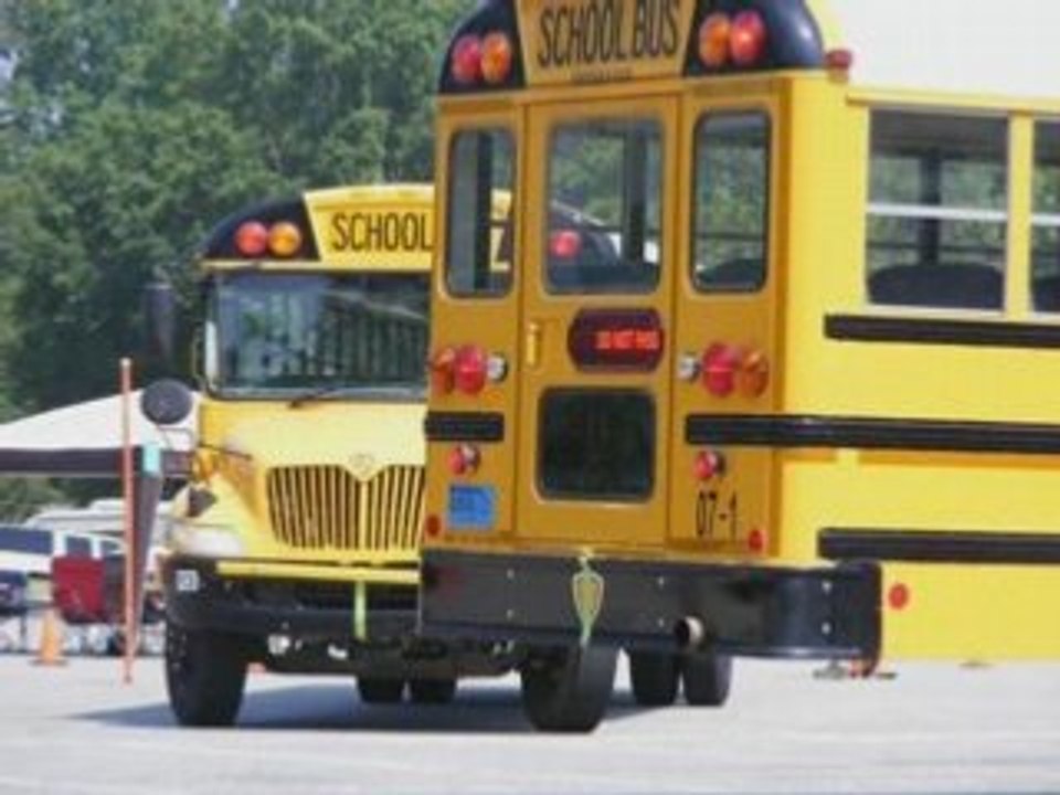 School buses #6