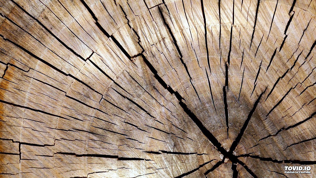 39 שער הנקודים פרק ו חלק ב | אוצרות חיים למתחילים | הרב אריאל סיבוני | שיעורים והקדמות לחוכמת הקבלה