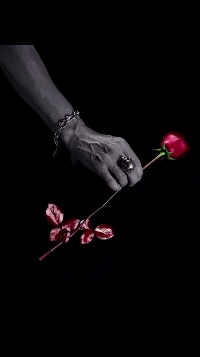 DEPECHE MODE - Violator "Animation"