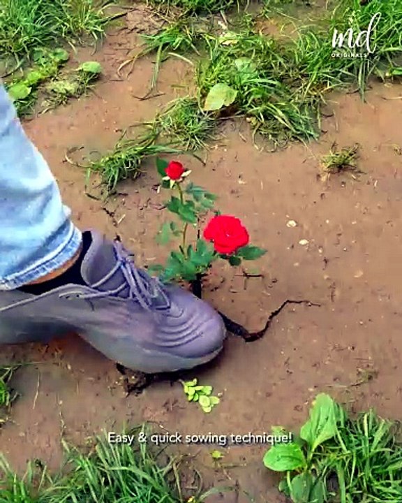 Making work in the garden easier for you!💯⚒️