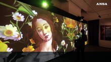 "Da Botticelli a Mucha", la bellezza ai Musei Reali di Torino