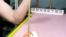 #Parrot #SmartAnimals #AnimalIntelligence #AmazingAnimals #BirdLovers #PetSkills #Incredible #FunnyAnimals