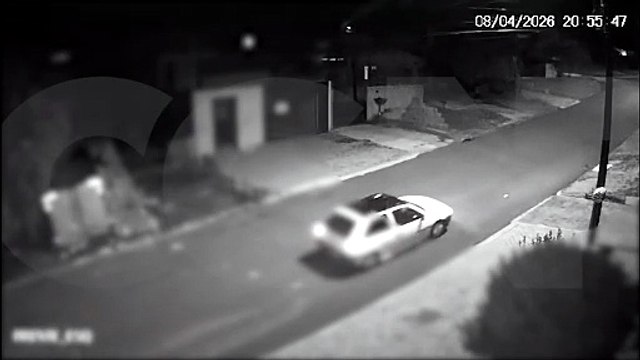 Gata é furtada no Bairro Cascavel Velho