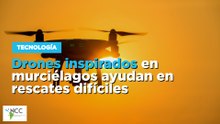Drones inspirados en murciélagos ayudan en rescates difíciles
