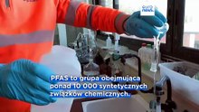 Pingwiny „toksykologami”: naukowcy wykrywają wieczne chemikalia w odległym regionie