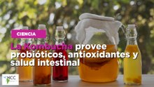 La Kombucha provee probióticos, antioxidantes y salud intestinal