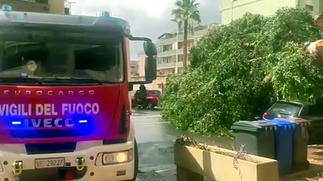 Cagliari, albero crolla in viale Sant’Avendrace: strada chiusa