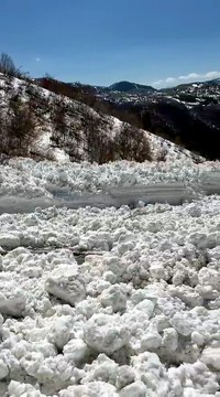 Image from field_mediaid