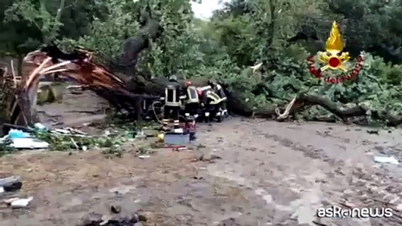 Maltempo, a Matera quercia crolla su auto: muore un ragazzo