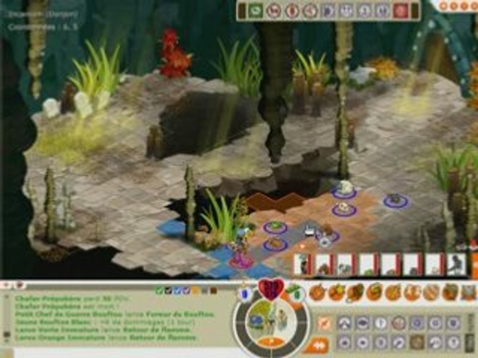 [Dofus] Feca niv. 120 VS Donjon d'Incarnam