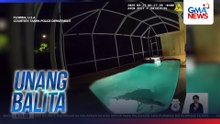 Buwaya, nakita sa tabi ng swimming pool ng isang bahay; ligtas na nakuha ng mga awtoridad | Unang Balita