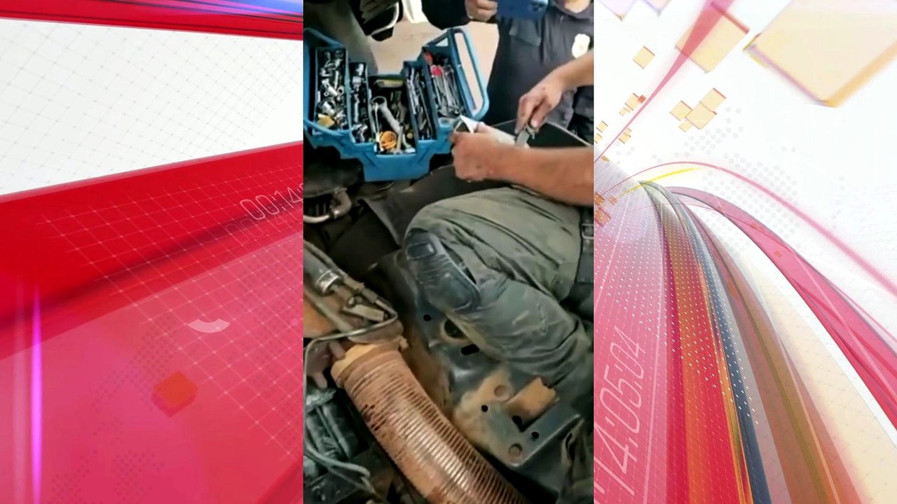 Cadela encontra 81 kg de cocaína em carreta após busca sem sucesso de policiais no PR