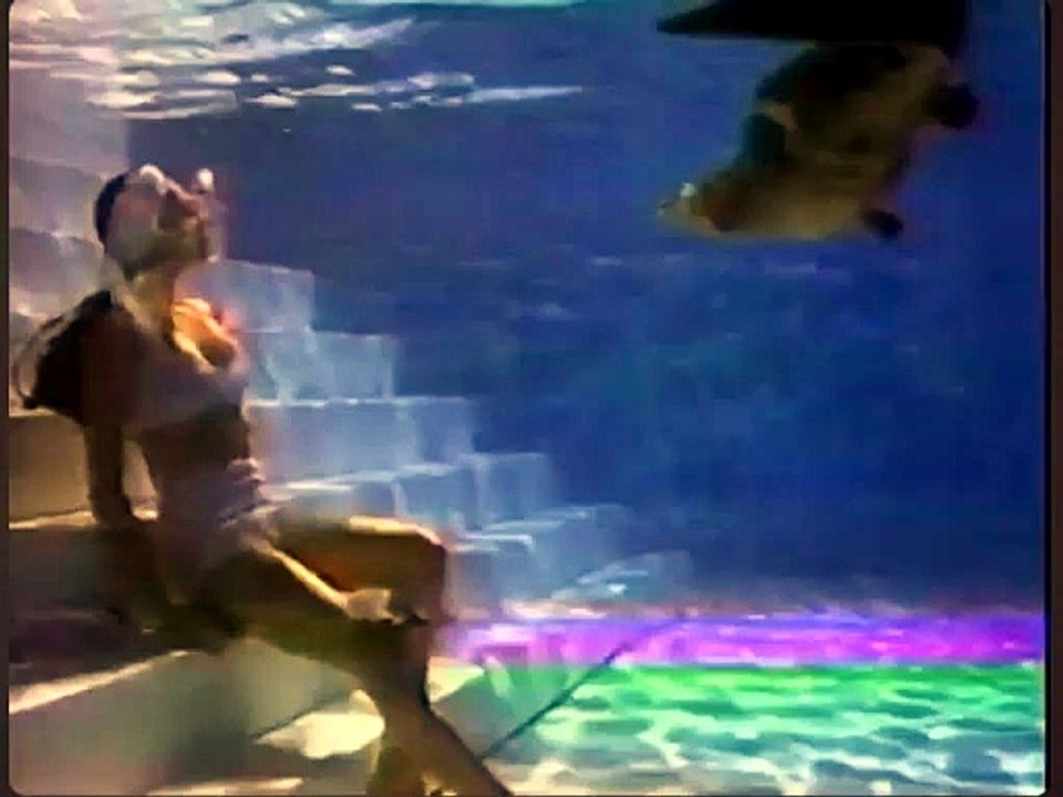 The Babysitter's Seduction NBC Split Screen Credits