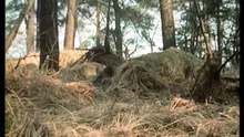 Wildschwein ehrenhalber (DDR 1978) - 03. M. über M. (Fernsehbericht)