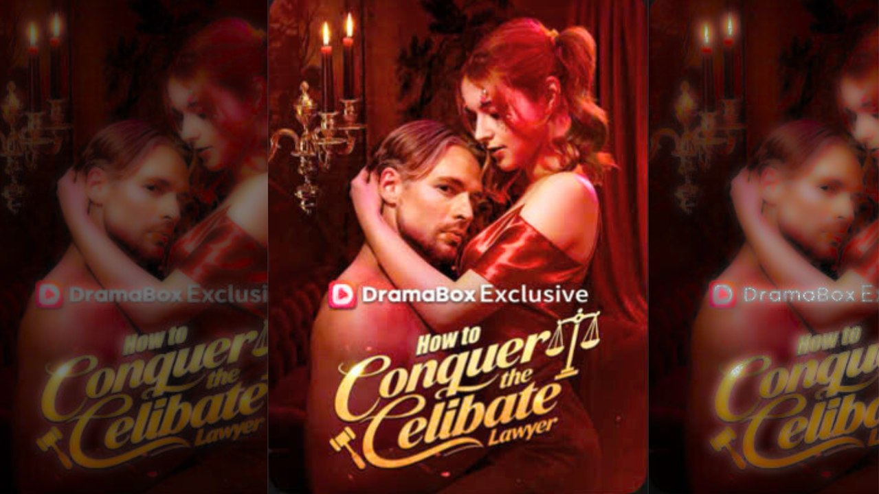 How To Conquer The Celibate Lawyer 🌷