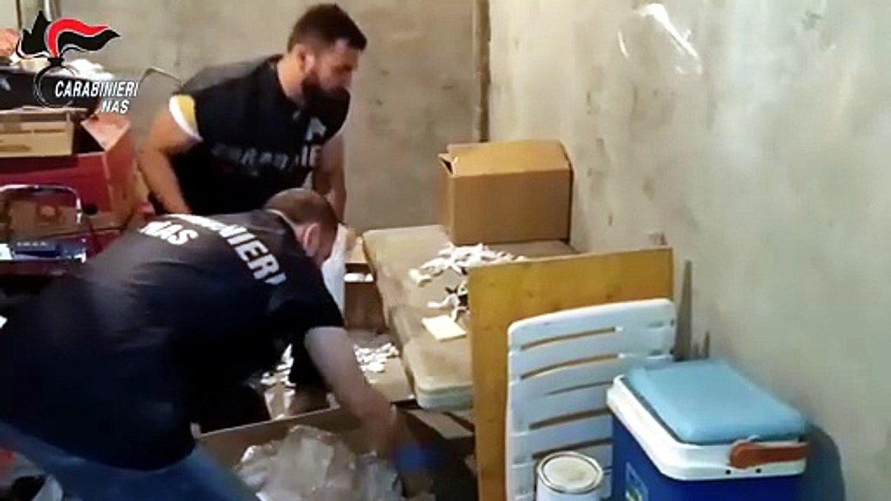 Traffico di anabolizzanti, sette arresti del Nas di Trento