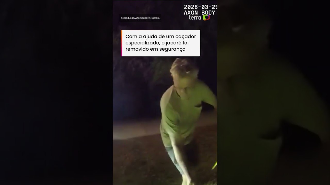 Vídeo registra momento em que jacaré é retirado de piscina em residência nos EUA #shorts
