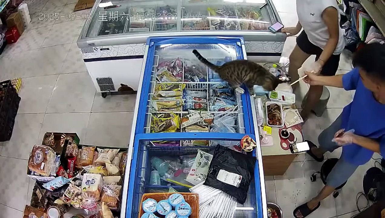 Try Not To Laugh 🤣 Top 100 Funniest Videos Ever 🎬🔥 Memes, Epic Fails & Pranks Compilation Part 12