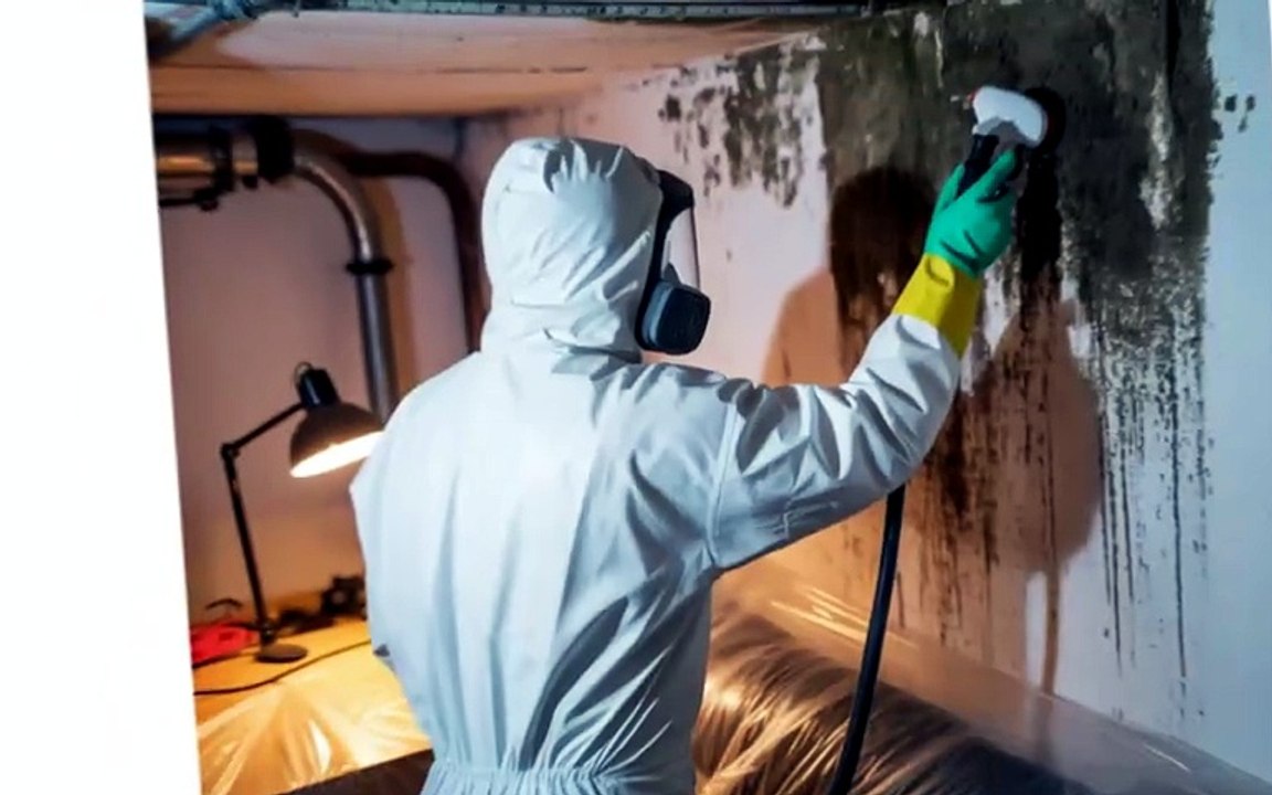 Mold Removal Pueblo