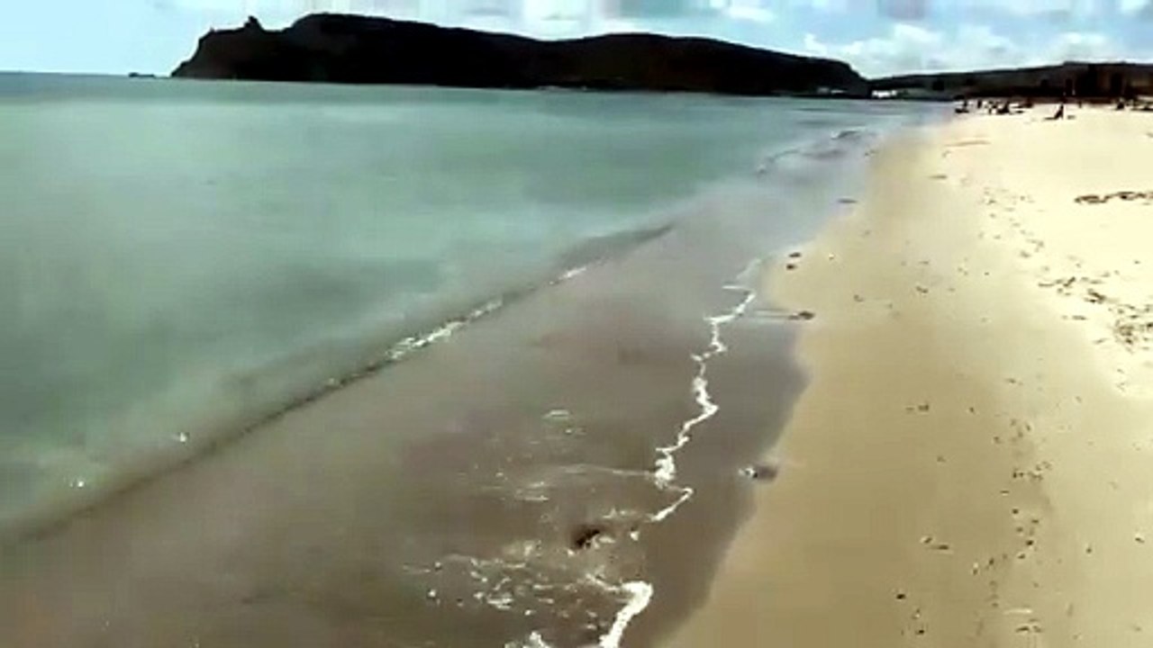 Cagliari, la spiaggia del Poetto invasa da centinaia di meduse