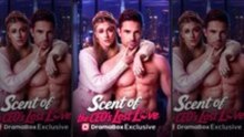 Scent Of The Ceo's Lost Love