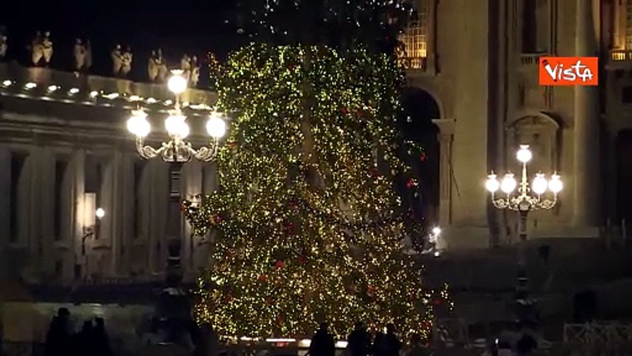 Natale 2024, l'albero della Città del Vaticano in Piazza San Pietro
