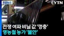 전쟁 여파 비닐 값 '껑충'...영농철 농가 '불안' / YTN