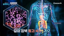 단것 못 참는 '당 중독', BNR17로 혈당 급상승 막는 법