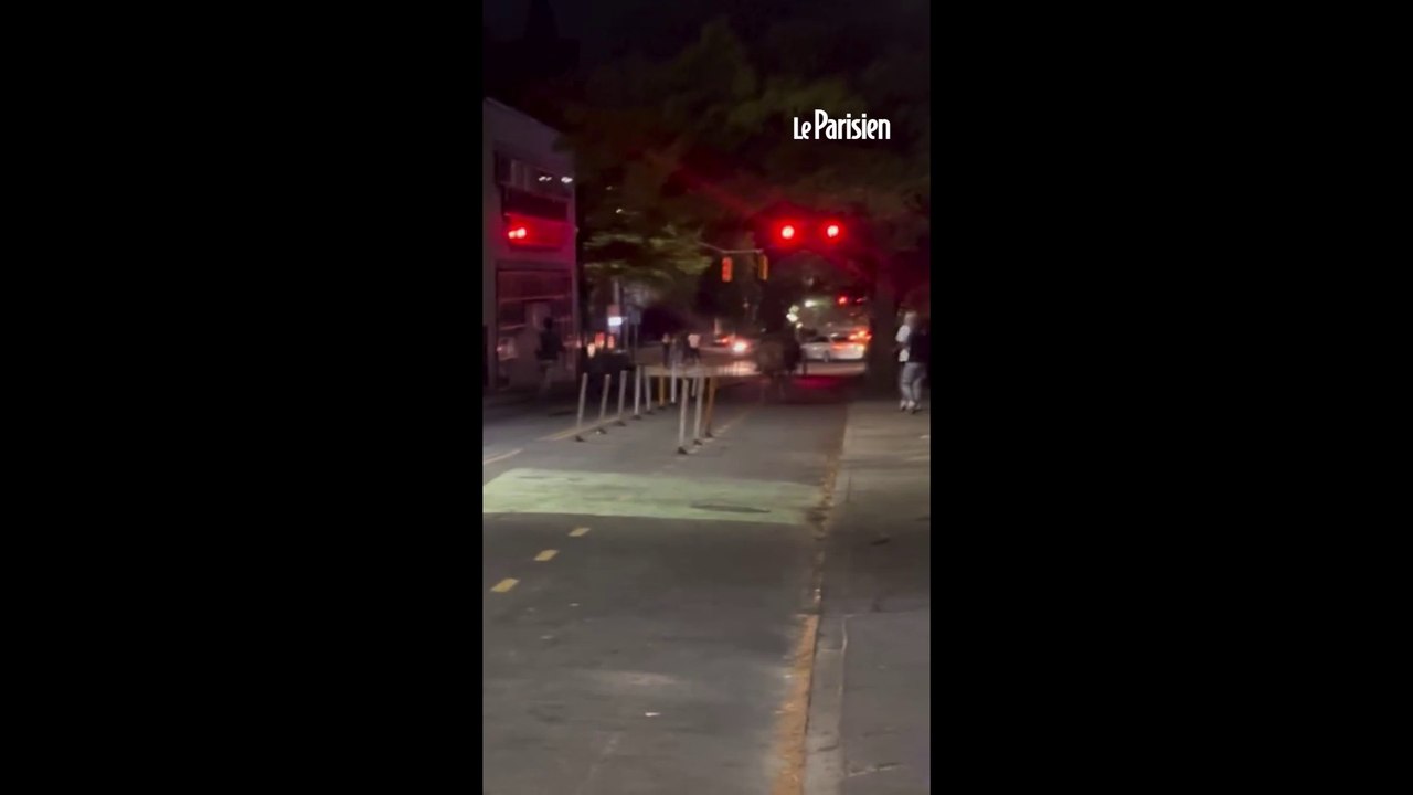 Un cheval affolé percuté par une voiture aux États-Unis