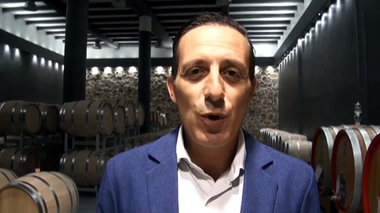 Gallura, una vendemmia di ottima qualità. E il vermentino si afferma all'estero