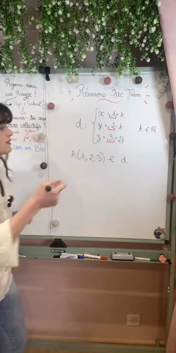 📏 Maîtrise les représentations paramétriques de droites (niveau Terminale) !Dans cette playlist, je t’explique pas à pas tout ce qu’il faut savoir pour être prêt(e) le jour du bac 🚀