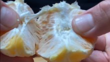 Peel & Pour Delight: Beverage Artist Crafts an Orange-Mint Paradise in ASMR Culinary Journey