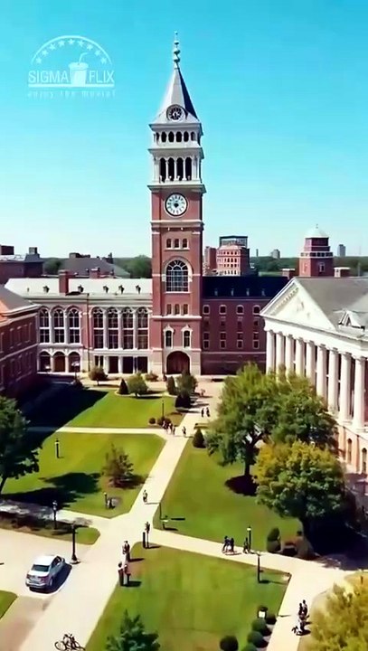 GráVida Dos GêMeos Do BilionáRio, O Amor ComeçA Dublagem Filme Completo