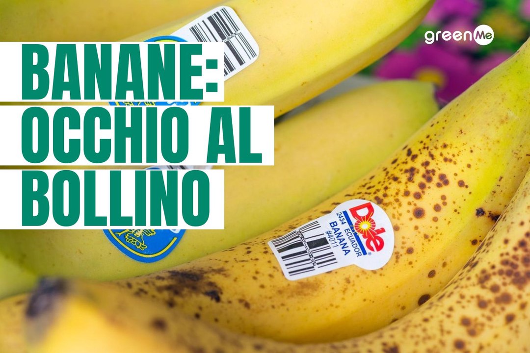 Banane: occhio al bollino