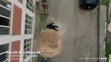 Güller ve Günahlar 24. Bölüm 2. Fragman I “Berrak gelmezse otomatik düşer değil mi dava?